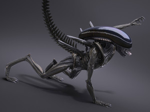 Alien Xenomorph High Detail 3D Модель