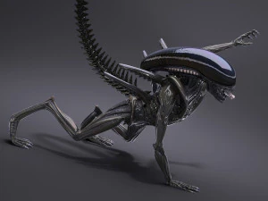 Alien Xenomorph High Detail 3D Model
