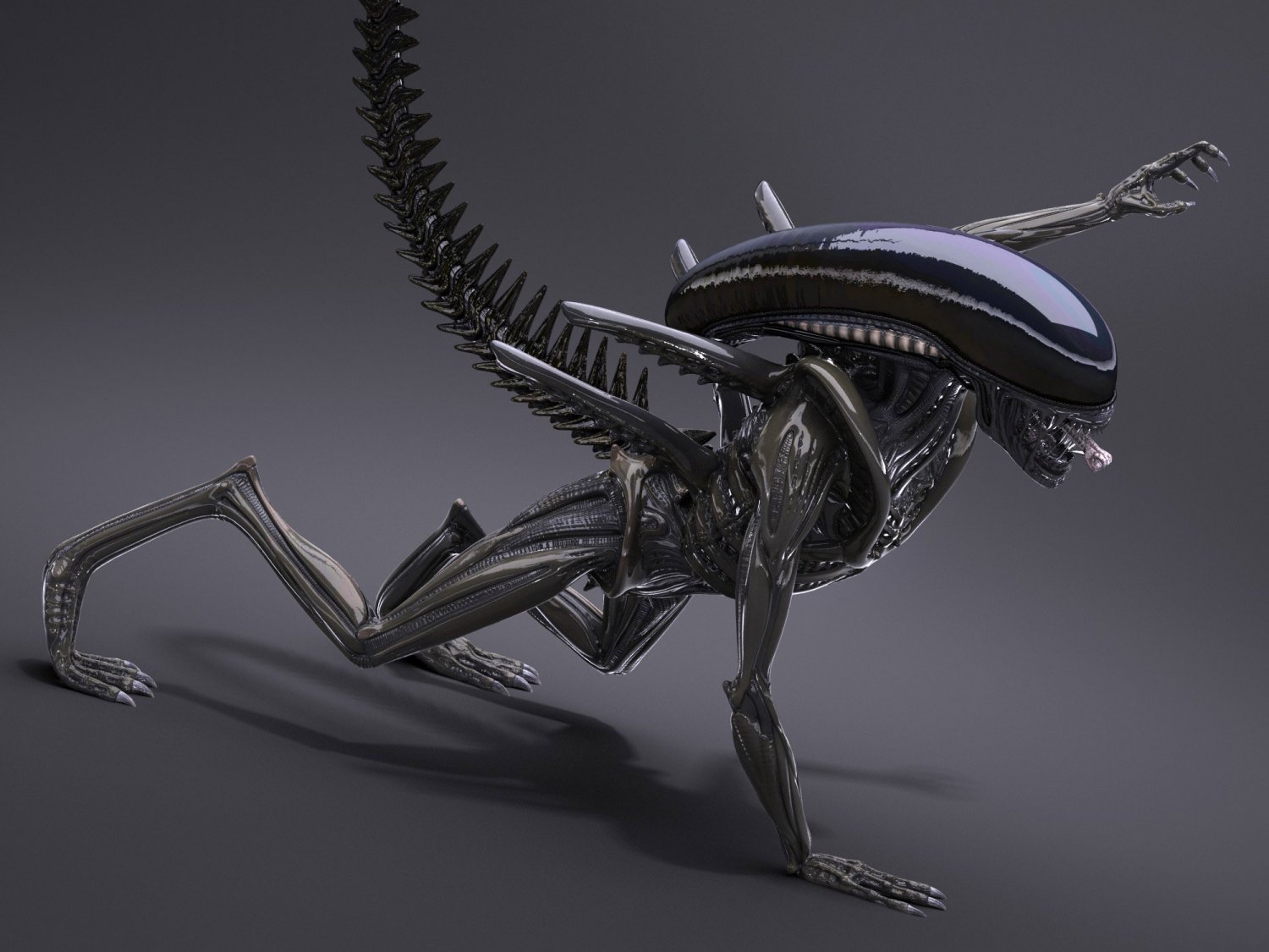 Alien Isolation 3d model Xenomorph
