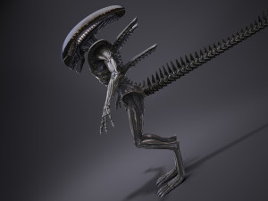 Alien Xenomorph High Detail 3D Модель