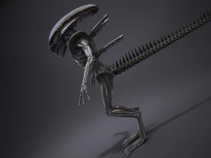 Alien Xenomorph High Detail 3D Model