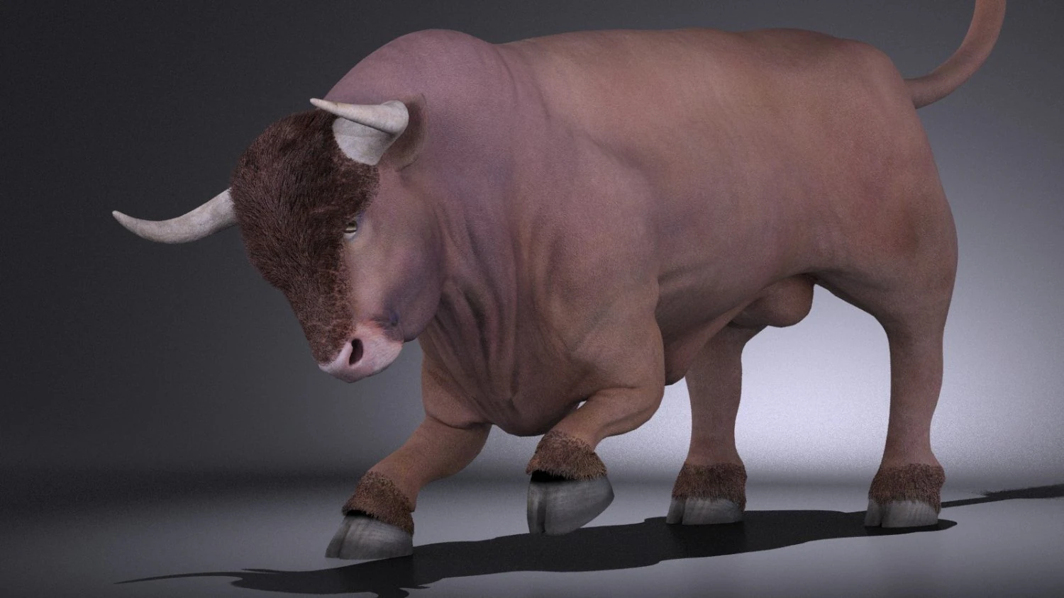 Bull Rigged for 3dsmax 3D Model .c4d .max .obj .3ds .fbx .stl .blend 