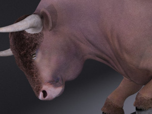 Bull Rigged for 3dsmax Modèle 3D
