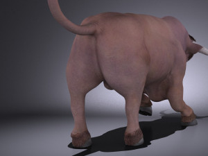Bull Rigged for 3dsmax Modèle 3D