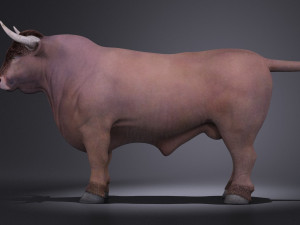 Bull Rigged for 3dsmax Modèle 3D