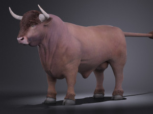 Bull Rigged for 3dsmax Modèle 3D