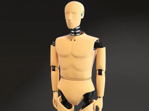 Crash Test Dummy Standing 3D Model