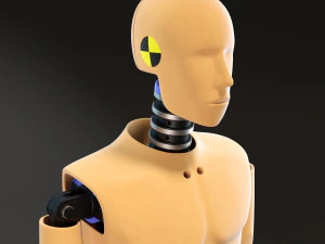 Crash Test Dummy Standing 3D Model