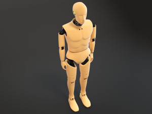 Crash Test Dummy Standing Modèle 3D