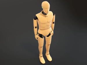 Crash Test Dummy Standing 3D Model