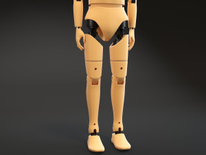 Crash Test Dummy Standing Modèle 3D