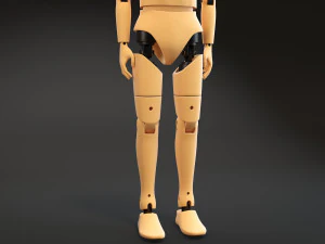 Crash Test Dummy Standing 3D Model