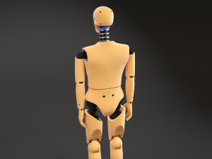 Crash Test Dummy Standing Modèle 3D