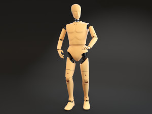Crash Test Dummy Standing Modèle 3D