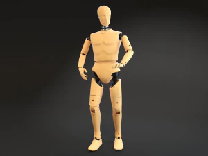 Crash Test Dummy Standing 3D Model