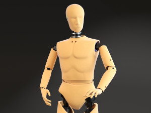 Crash Test Dummy Standing Modèle 3D