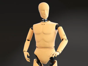 Crash Test Dummy Standing 3D Model