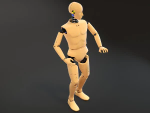Crash Test Dummy Standing 3D Model