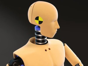 Crash Test Dummy Standing 3D Model