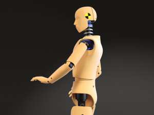 Crash Test Dummy Standing Modèle 3D