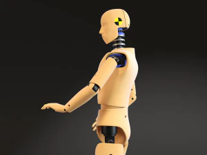 Crash Test Dummy Standing 3D Model