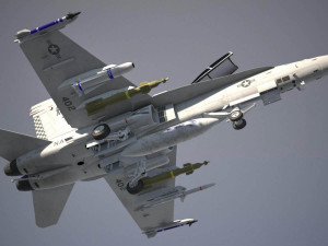 Mcdonnell Douglas FA-18 Hornet 3D 모델