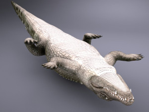 Nile Crocodile 3D Model