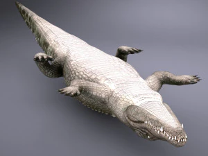 Nile Crocodile 3D Model