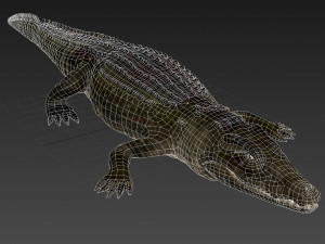 Nile Crocodile 3D Model