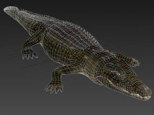 Nile Crocodile 3D Model