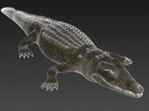Nile Crocodile 3D Model