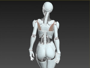 Robotic Woman Cyborg Realistic 3D 模型