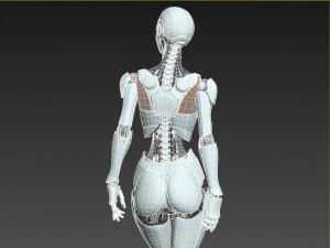Robotic Woman Cyborg Realistic 3D Model