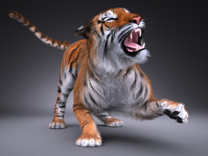 Sumatran Tiger for 3dsmax 3D Model