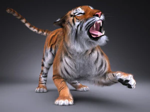 Tigre de Sumatra pour 3dsmax Modèle 3D