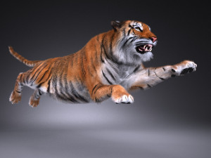 Sumatran Tiger for 3dsmax Modelo 3D