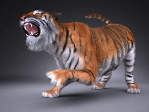 Sumatran Tiger for 3dsmax Modelo 3D