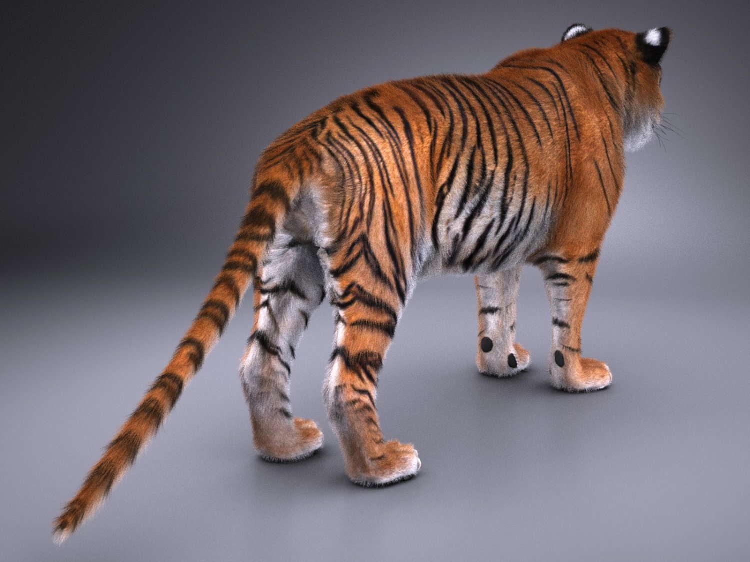 Tigre grátis 3D Modelos baixar - Free3D