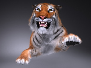 Sumatran Tiger for 3dsmax Modelo 3D