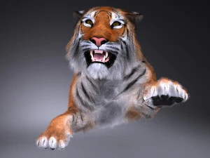 Sumatran Tiger for 3dsmax 3D Model
