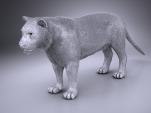 Sumatran Tiger for 3dsmax Modelo 3D