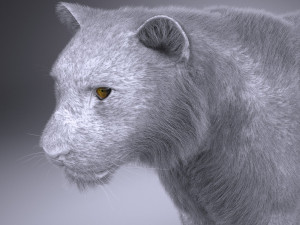 Sumatran Tiger for 3dsmax Modelo 3D