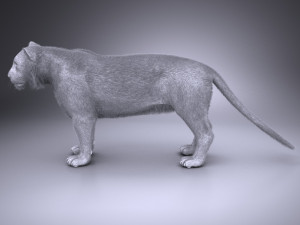 Sumatran Tiger for 3dsmax Modelo 3D