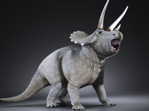 Triceratops 3D मॉडल
