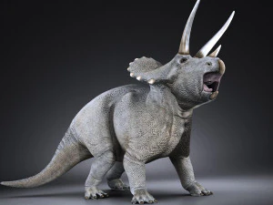 Triceratopo Modello 3D