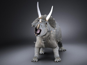 Triceratops 3D मॉडल
