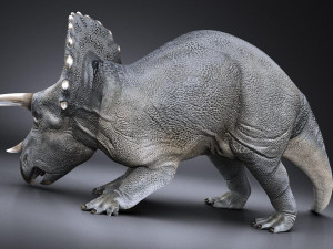Triceratops 3D मॉडल