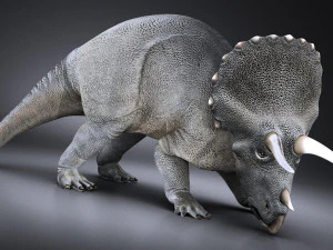 Triceratopo Modello 3D