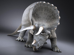 Triceratops 3D मॉडल