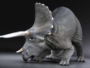 Triceratops 3D मॉडल
